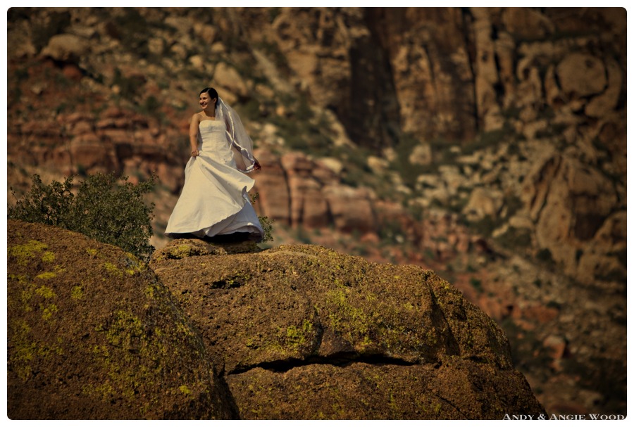 bride on mountain at trash the dress