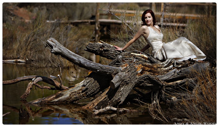 bride on a log by river