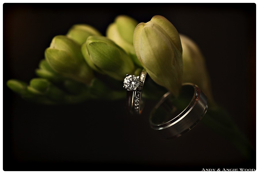 Photography of Wedding Rings