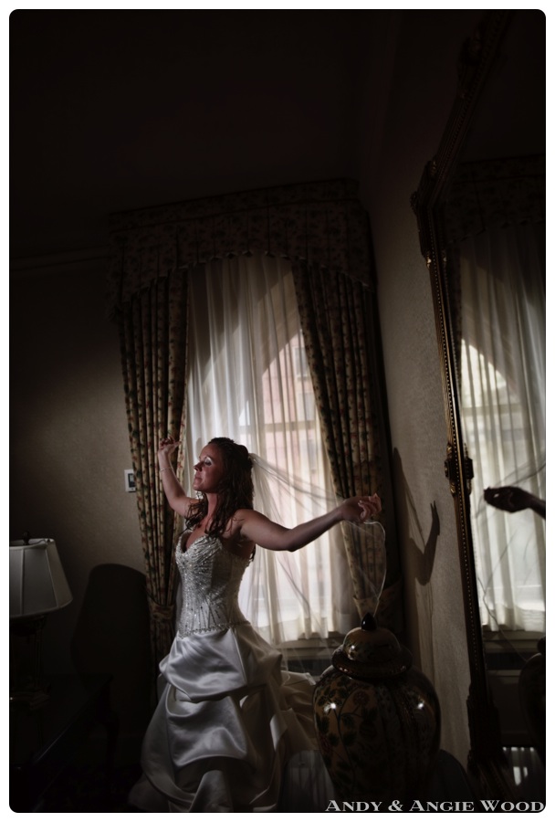 Portrait of bride at brown palace